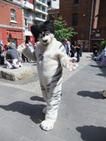 Byakko Tiger