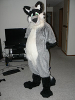 Racky the Racoon